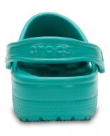 Classic Tropical Teal